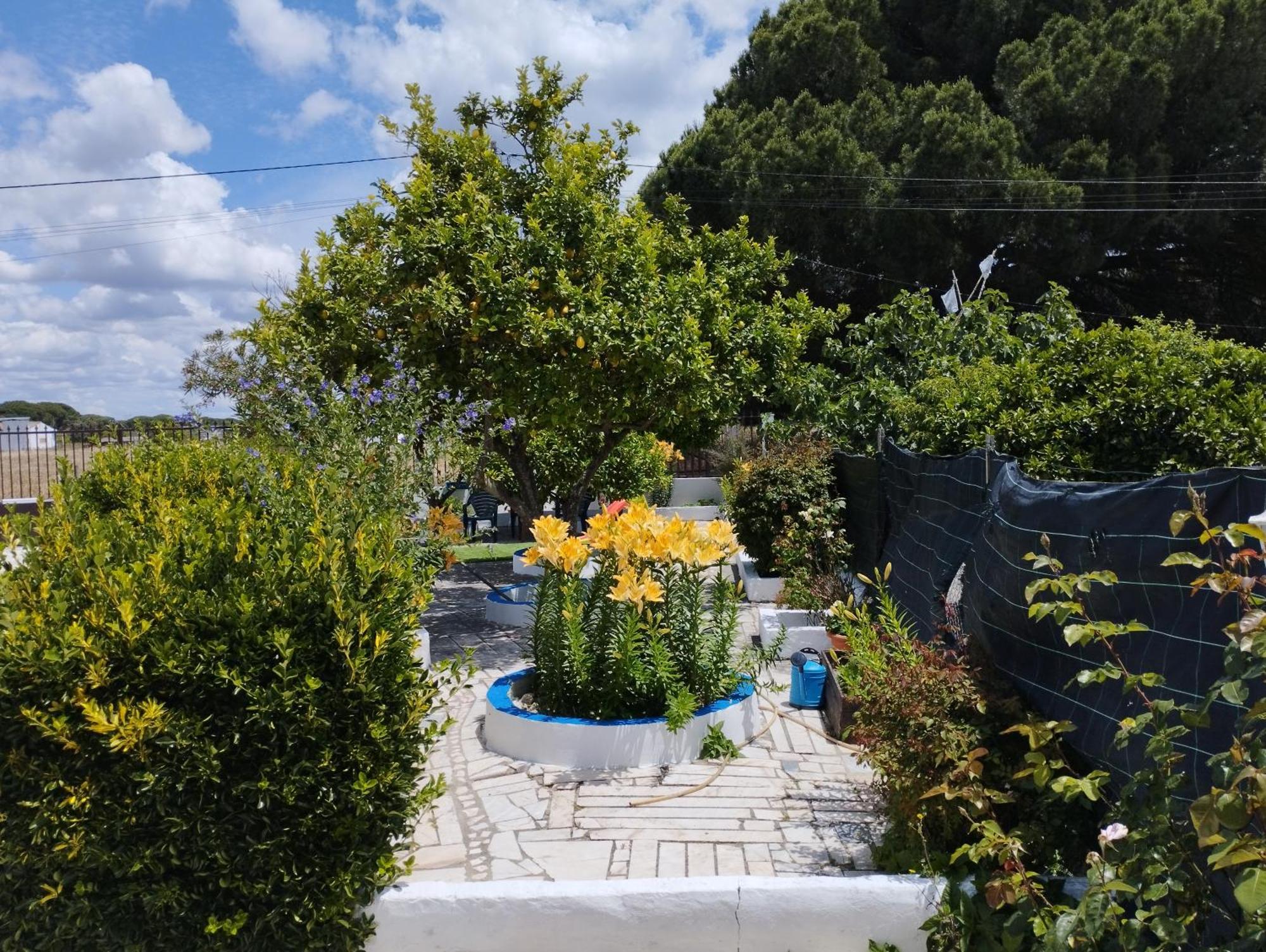 فيلا Monte Sol Nascente Grândola المظهر الخارجي الصورة